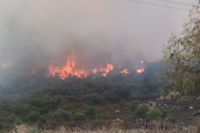 Foça’da orman yangını: 4 gözaltı