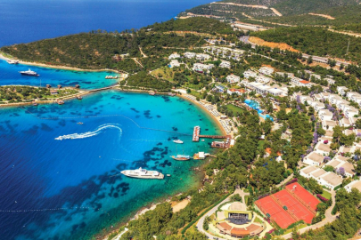 Kıyıdaki ormanlar turizme açıldı