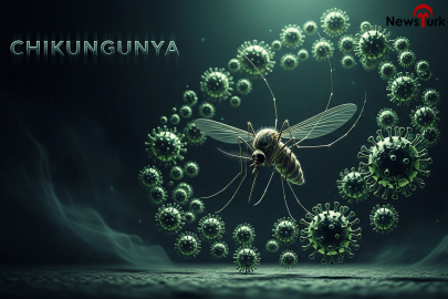 Tedavisi yok: Chikungunya salgını hızla yayılıyor