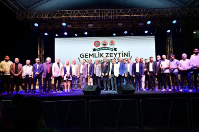 Zafer Partisi'nden kritik uyarı: Zeytinlikler korunmalı