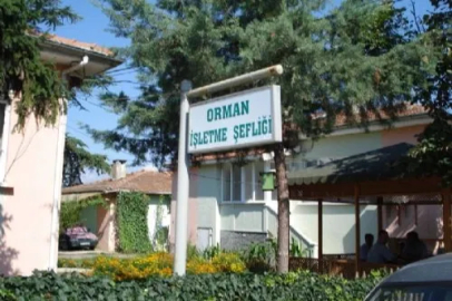 Kepsut’a Orman İşletme Müdürlüğü kuruluyor